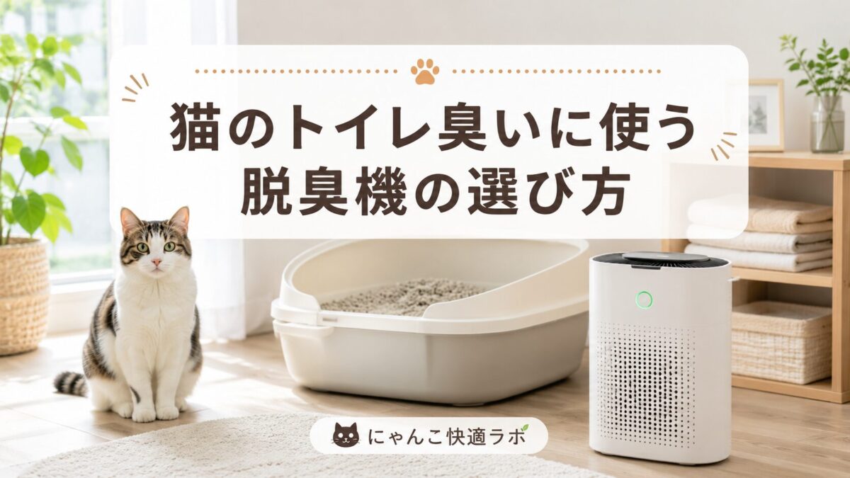 にゃんこ快適ラボ