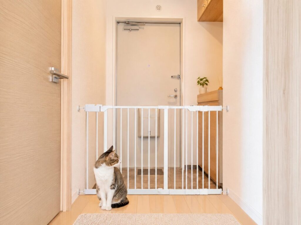 にゃんこ快適ラボ