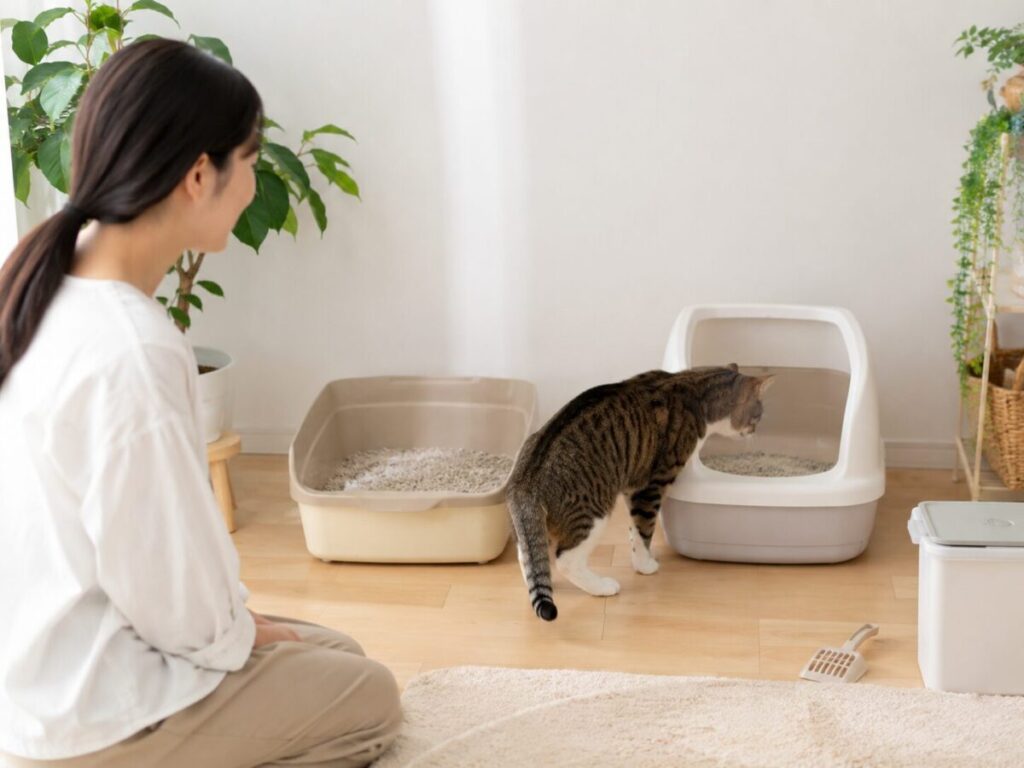 にゃんこ快適ラボ