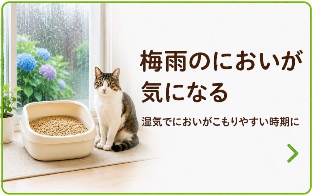 梅雨のにおいが気になる
